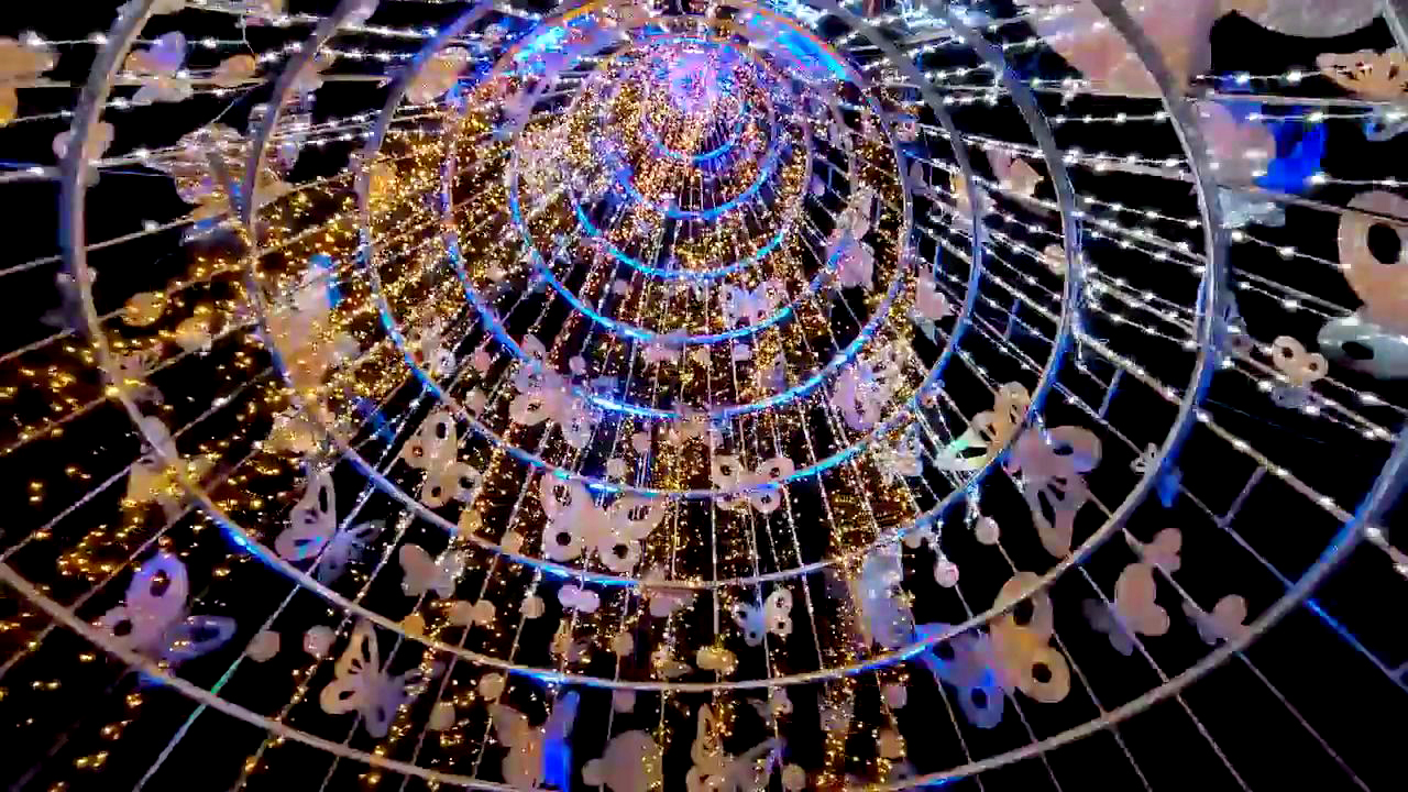 c7d5a94453ea2b9f53b3e261e88059da_1733116811_3455.jpg